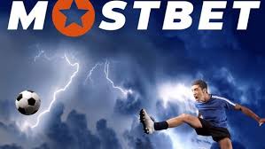 Best sportsbooks for betting on 19