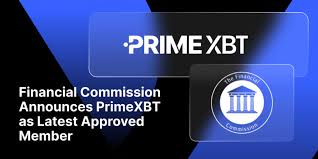 Exploring the Crypto List PrimeXBT Opportunities and Insights Exploring the Crypto List PrimeXBT Opportunities and Insights
